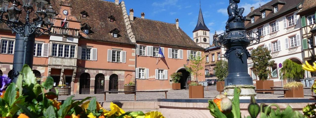 La Curiosite - Appartement 2 Chambres A Barr, Route Des Vins D'Alsace Екстериор снимка